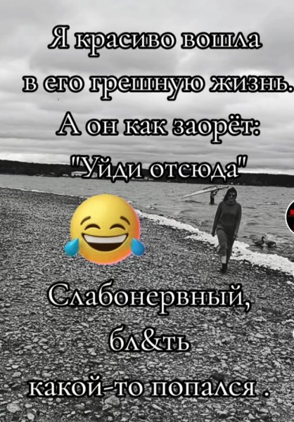 picture_379715631