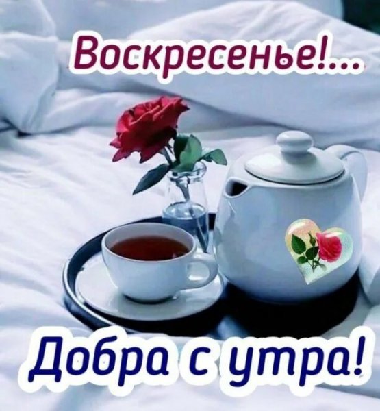 Друзья мои!