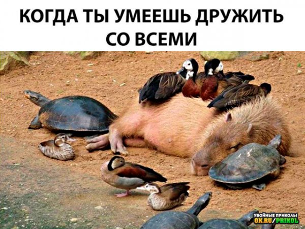 IMG 20211105 080420