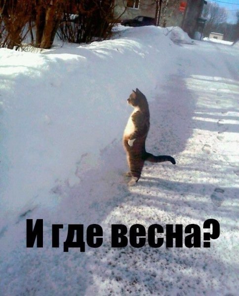 1ef0b38e4204700129f694ca0