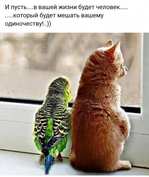 tatiana.4834 20201108 2