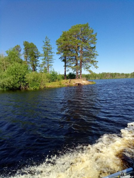 Островок в сору