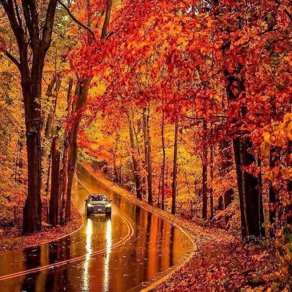 Осень близко