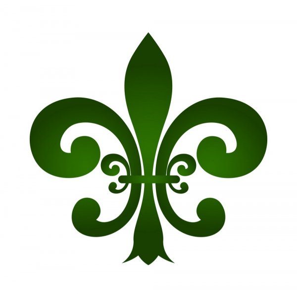 Fleur-de-lys-vector-19468442