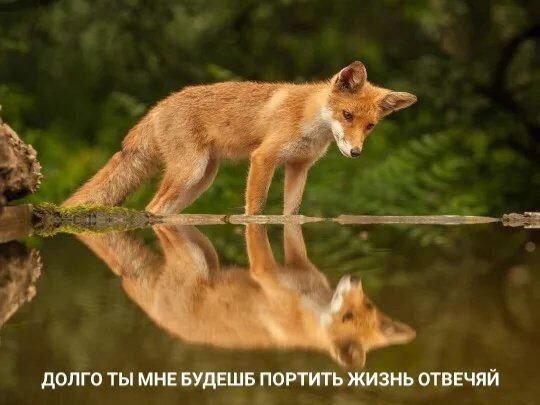 picture_412869639