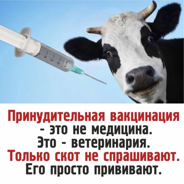 Мы не скоты. Скоты не мы