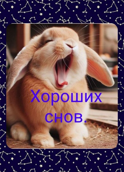 cd749c6ae2b541a1bbc36c12f5dc2