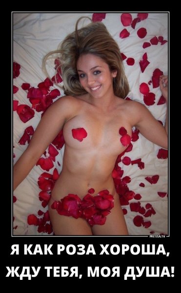 Я как роза хороша