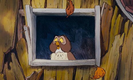 H280 52452398