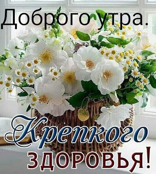 IMG-20210803-WA0000