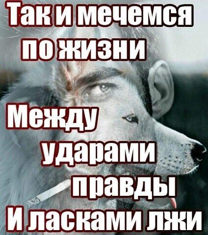 image (2) (16)