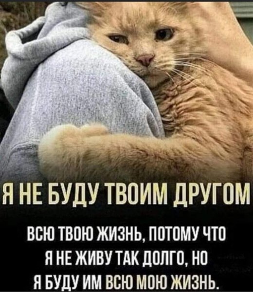 07d52192d72dc55d82d8ca7d0c979be0