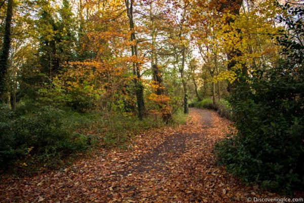 The-Park-In-Lincoln-Lincolnshire-England