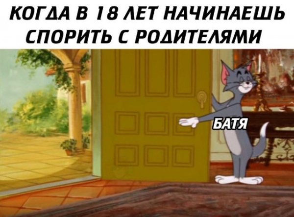 9e6e56913c 20455344