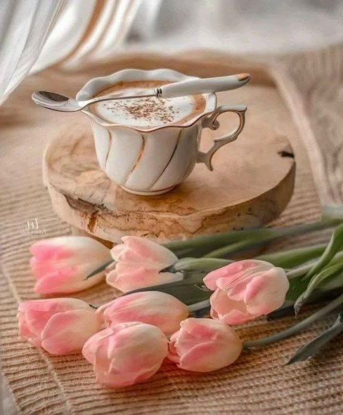 YDA0ioFM528gGSlYeY CQszwLUli255ajO3TBGXqU3WKdA8T py791R ydIB