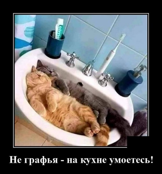 c4fd0dbe244239b92edde31d2d6e2