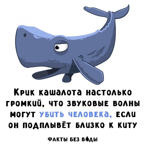 IMG 20250515 143833 545