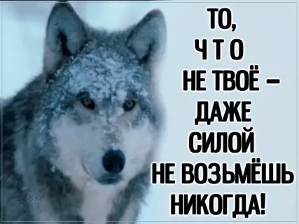 picture_212796442