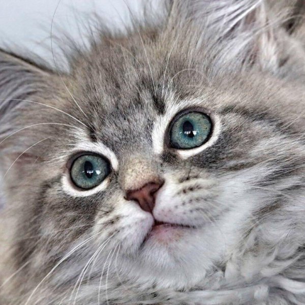 59bb83c9f5679524e106c1a3