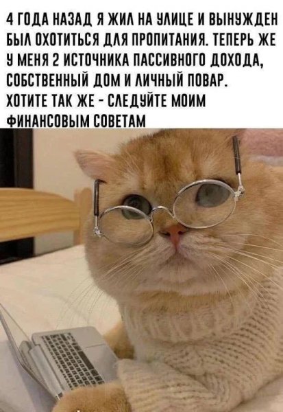 Nfbcoe6o