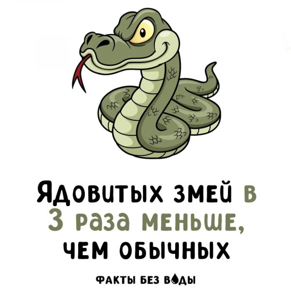 IMG 20251109 101012 235