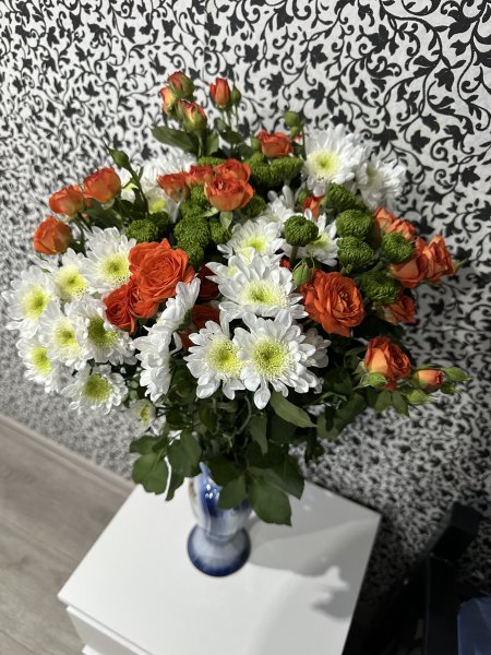 IMG 0015