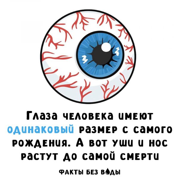 IMG 20250519 092950 808