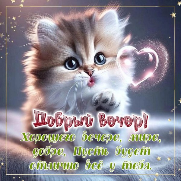 Fedbcb9600d1705492556329d3cf5a0b