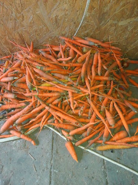 IMG 20250809 104640 889