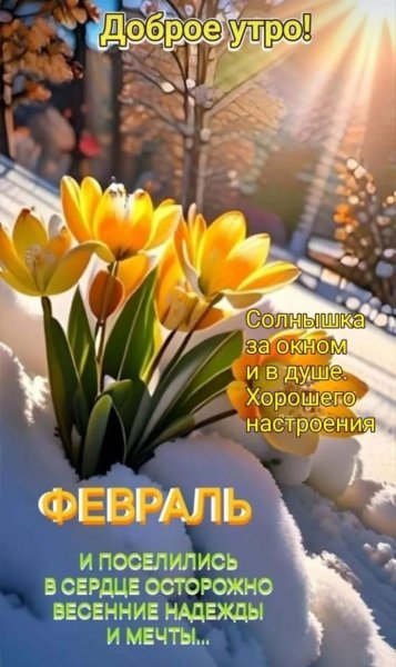 67a585dc4ed3064947c6a7dc8ea91fe3