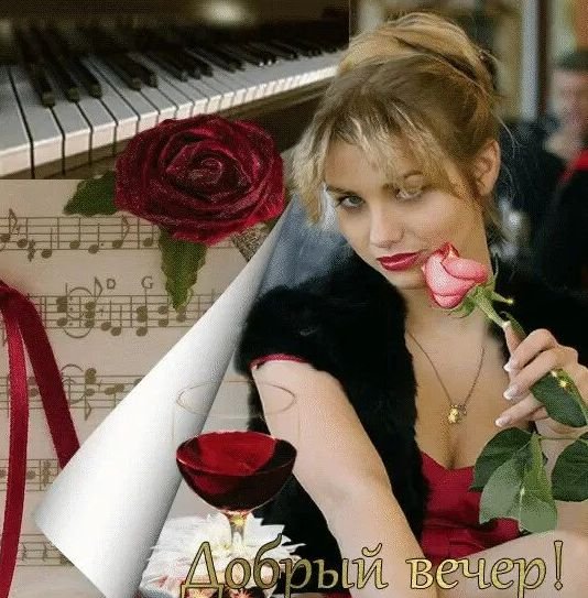 Добрый Вечер