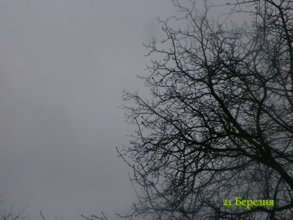 21 Березня