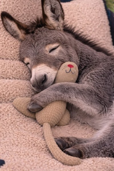 Bb903c439c7201fee4b7a3faa3ee06c4