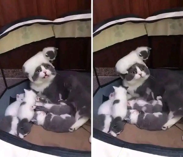 FB IMG 16466761674960526