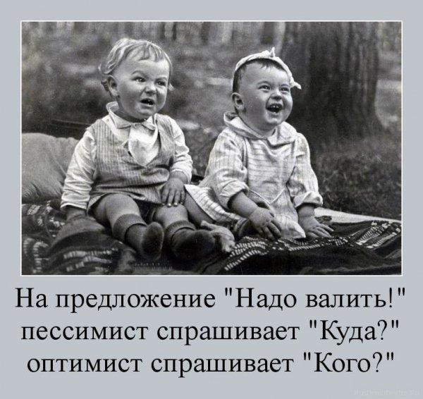 Пессимист и оптимист