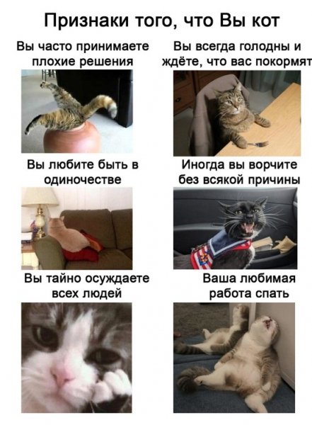 Screenshot 2021-02-16-02-31-26-205 com.android.chrome~01