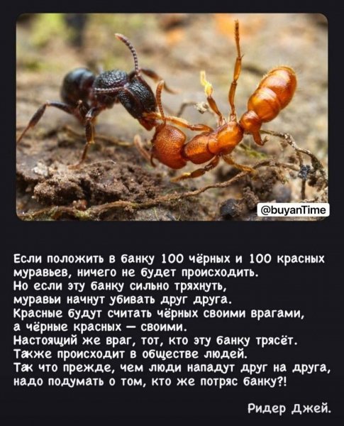 IMG 20250413 135212