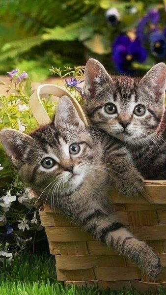 14-12-25-217406722 843489762952807 2868634851712247695 n