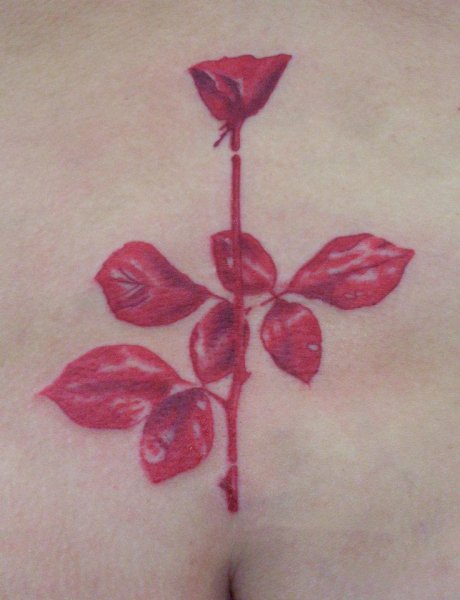Tattoo (4302)