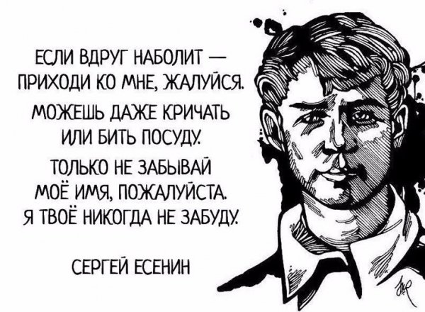 c426bed8fe4bb01eac786798fa