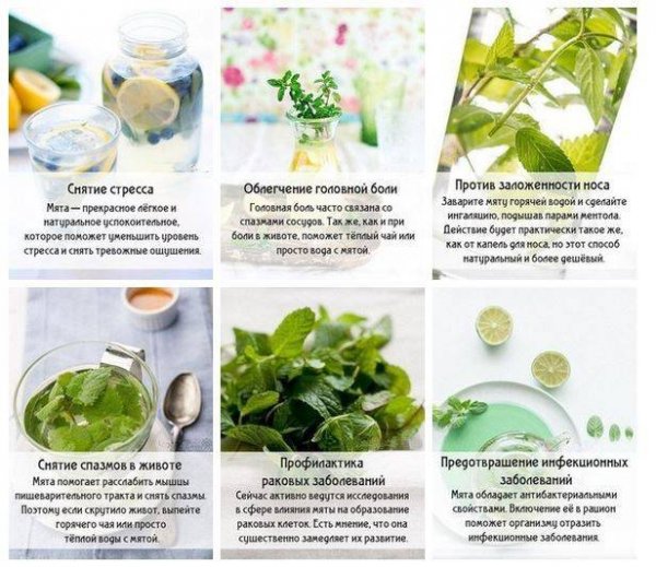 Для нашего здоровья