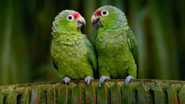 Ca8fa16e7566b1cebf9b921452138dc5