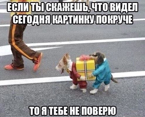 picture_273370906