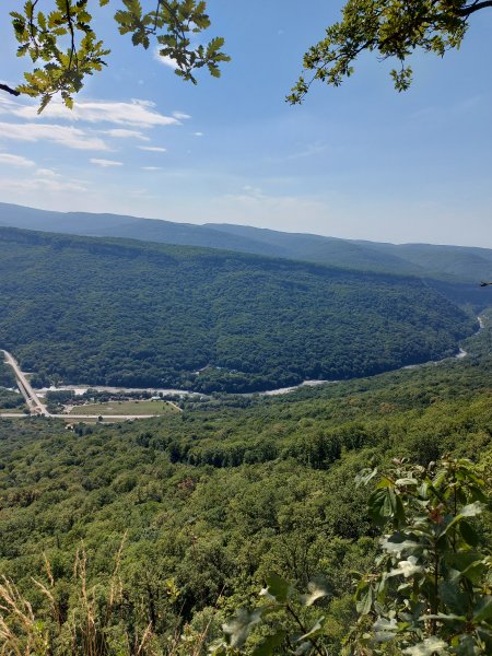 picture_367151830