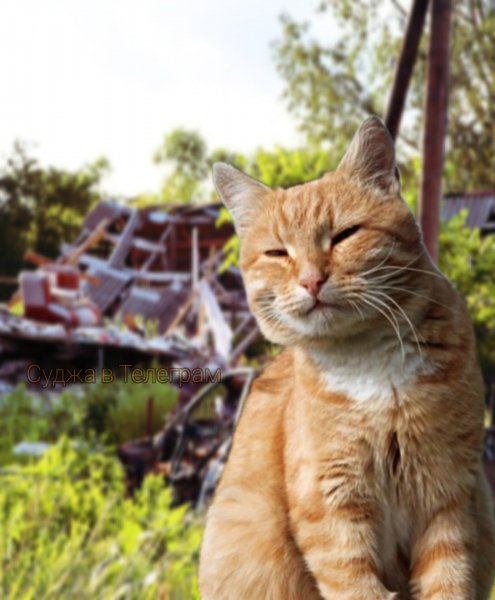 RVEOH96bBWhiU9VA6w63LDUX1l8dRHCidvQ0vMFoVQqTIlynMtKyjWZEphf