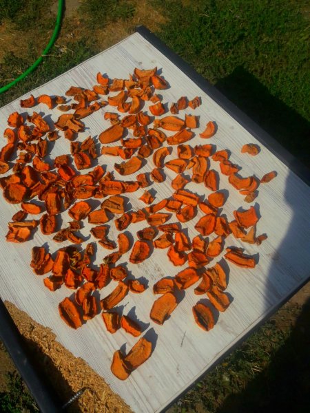 IMG 20240727 115337 307