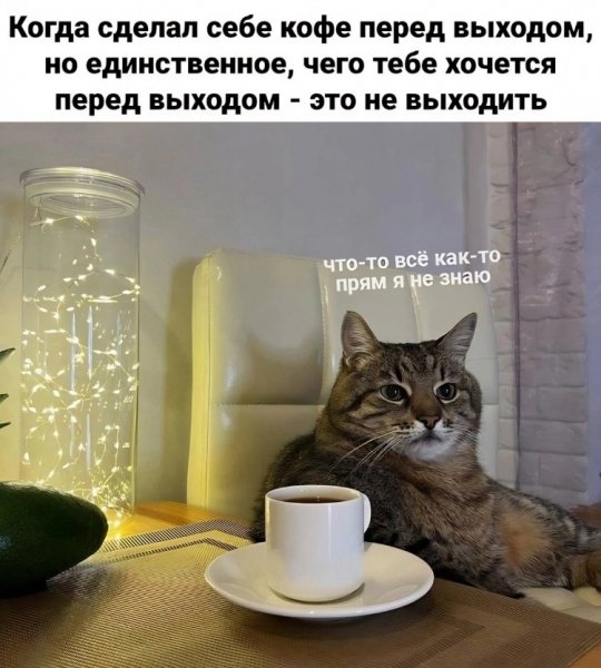 W5Olas731sLZjqH5VlCiYgQ6h QEiF0QhKnHnUxHoyvfEBCR4R8m9FbVnMO3