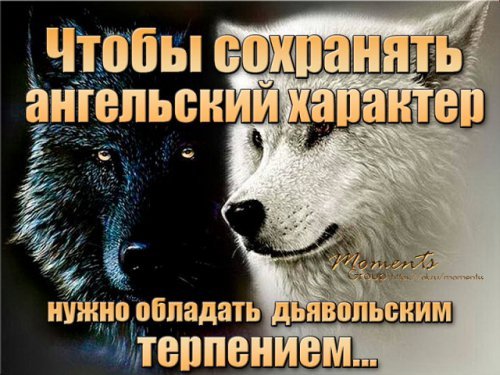 picture_215259630