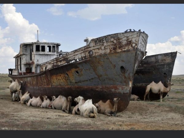 Аральское море