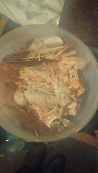 IMG-20260221-WA0002